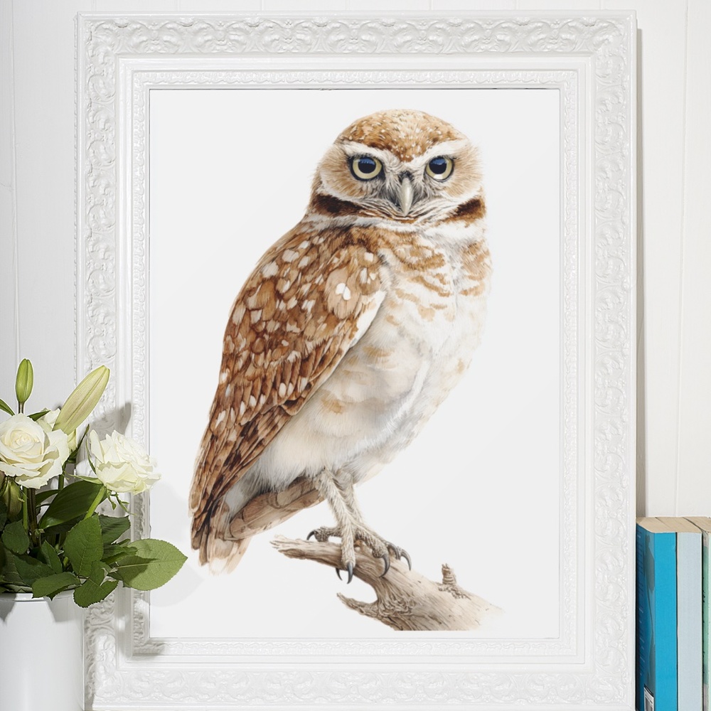 Watercolor Burrowing Owl Portrait Wall Art Print Poster, Unframed - Charming - Picture 7 of 7
